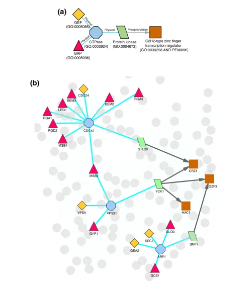 Figure 1A sample schema and its instances in yeastA sample schema and its instances in yeast