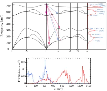 FIG. 2. Upper panel: phonon dispersion and phonon density of states in c-GaN as obtained from DFT