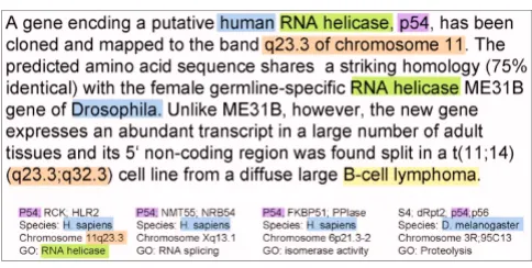 Figure 1Example for gene mention normalization using context models