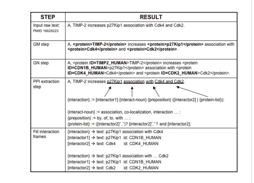 Figure 1IPS: steps of the protein-protein interaction extraction system