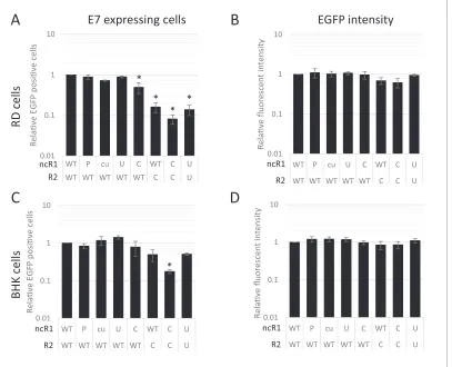 Figure 8. CpG and UpA dinucleotides inhibit initiation of E7 replicon RNA replication