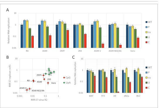 Figure 3. E7 replicon RNA replication is restricted by increased UpA and CpG dinucleotides in a non-coding region