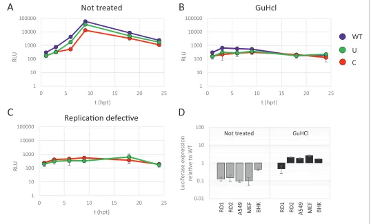 Figure 4. Reduced replication of E7 replicon RNA with increased CpG and UpA dinucleotides is not the result of reduced translation