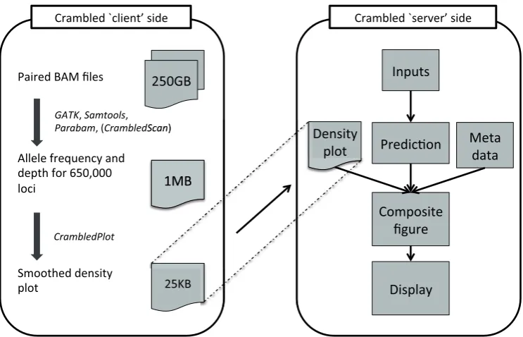 Figure 1. A schematic of the operation of the Crambled tool. Tasks are divided between those on the ‘client’ side (that aim to reduce the size of the data that need to be transferred) and the main application on the ‘server’ side (where the cellularity/depth solutions can be investigated).