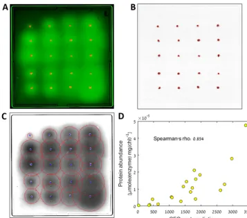 FIG 3 The results of the performance test. (A) Composite image of one of the plates used in the assay, combiningThe CFQuant prediction represents the normalized sum of pixels for the halos divided by the area of the colonies,as described in the text