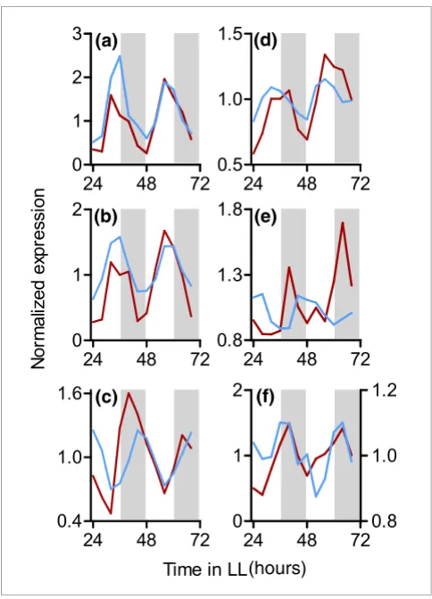 Figure 1Validation of circadian microarray data by RT-PCRValidation of circadian microarray data by RT-PCR