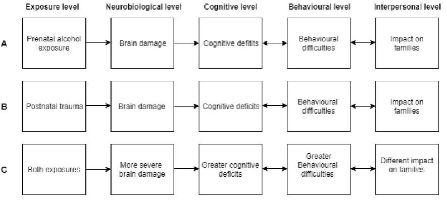 Figure 4.1 Causal modelling framework of PAE and trauma 