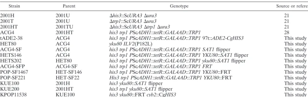 TABLE 2. Plasmids used in this study