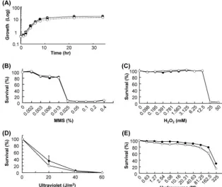 FIG. 3. Phenotypic characterization of the �ODof the growth rate analyses at 37°C and 42°C are indicated by solid and dotted lines, respectively