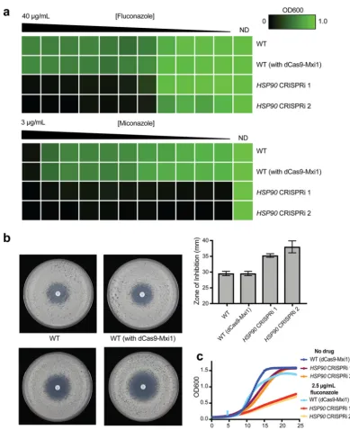 FIG 4 CRISPRi-based repression of the essential gene24 h and 48 h (48-h results are depicted here)