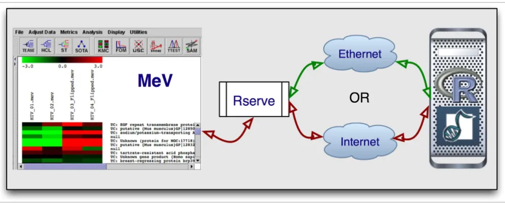 Figure 1in which the analysis packages runOur integration effort is composed of three separate entities: MeV as the GUI, Rserve as the communication layer, and R as the language and environment 