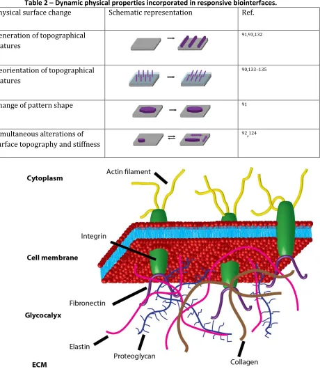 Table 2 – Dynamic physical properties incorporated in responsive biointerfaces. 