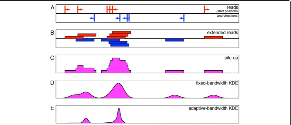 Figure 1 Different approaches to genomic signal reconstruction. (A) Reads in a portion of the genome