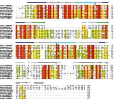 Figure S1Sequence alignments of Cas5c proteins