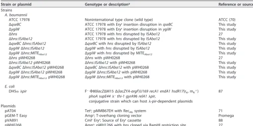 TABLE 3 Strains and plasmids used in this study