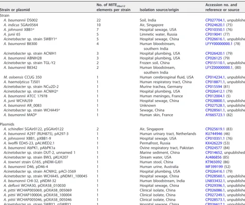 TABLE 1 Bacterial strains that harbor full-length MITEAba12 elements