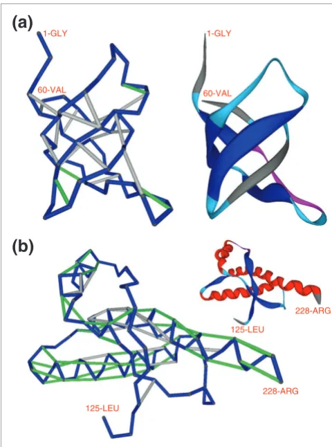 Figure 1Hydrogen-bond pattern and structural vulnerabilities (SEBHs) of the yeast SH3 domain and the human prion protein PrPC
