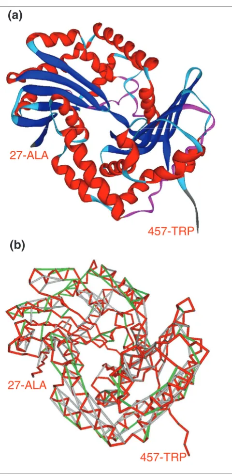 Figure 2the cytochrome b-c1 complexRibbon representation and vulnerability (SEBH) pattern of subunit 1 from 