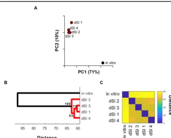 FIG 1 Screen-level comparative TIS analysis of V. parahaemolyticus screens. (A) Screen-level PCA of 5 V