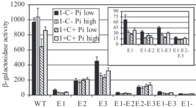 TABLE 2. Activation of ENO1-lacZ expression