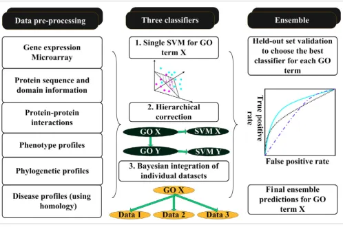 Figure 1An ensemble framework based on the SVM that integrates diverse datasets in the context of GO hierarchy