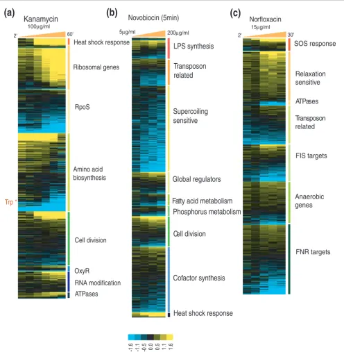 Figure 2Expression profiles of top-scoring classes for drug treatments