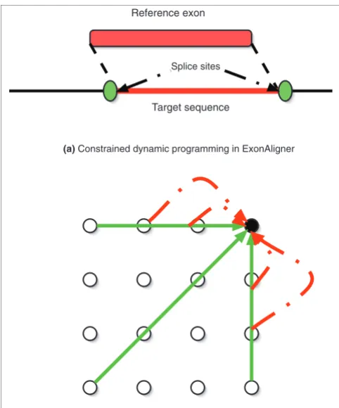 Figure 1The ExonAligner algorithmThe ExonAligner algorithm. (a) Representation of constrained dynamic programming used by ExonAligner