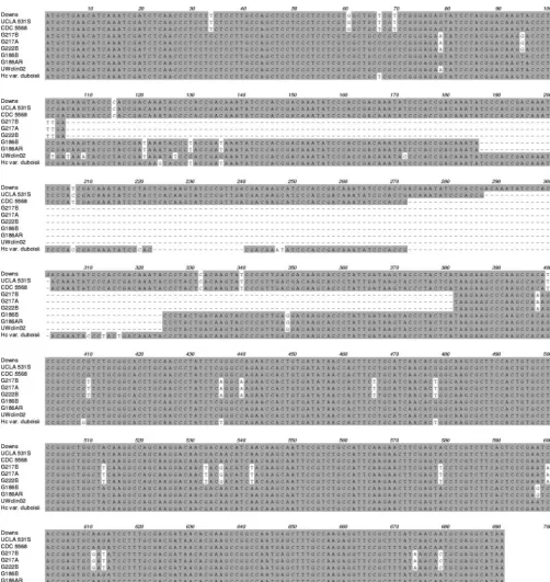 FIG. 1. Alignment of the YPS3of the gene, with a region of intragenic variability that is predicted to encode a series of tandem amino acid repeats