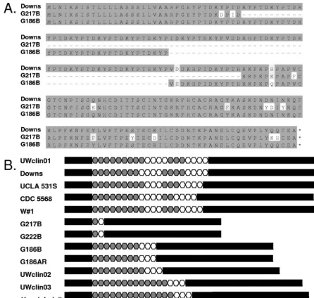 FIG. 2. The top panel (A) shows three predicted amino acid sequences with variable-length repeats