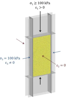 Figure 10 Sample for biaxial test simulation 