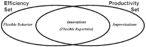 Figure 1 (Khalil).Distinguishing Productivity from Efﬁciency.
