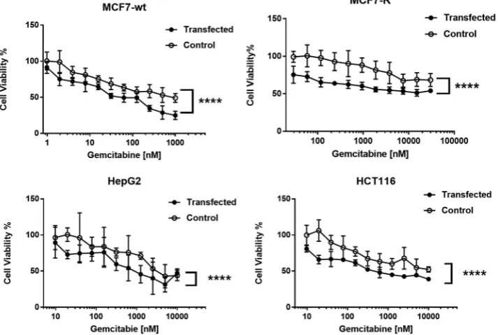 TABLE  1. IC50 values (in µM) for nucleoside analog effect on different cancer cell lines before transfecting DmdNKΔC20
