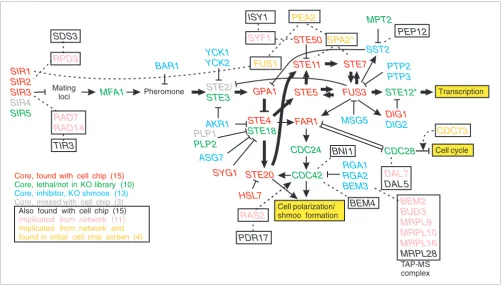 Figure 5Comparison of results with the known response pathway
