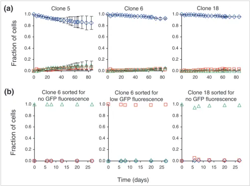 Figure 3GFP fluorescence of clones 5, 6, and 18 with antibiotic selection or pre-sorted cells with repressed levels of GFPGFP fluorescence of clones 5, 6, and 18 with antibiotic selection or pre-sorted cells with repressed levels of GFP
