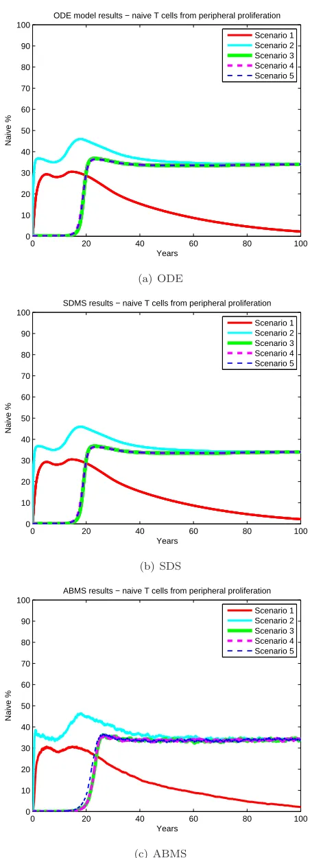 Figure 7. Results for naive T cells from peripheral proliferation