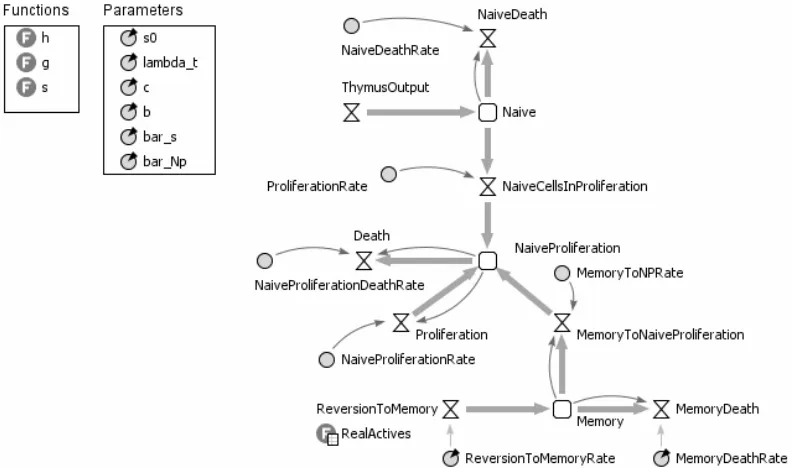 Figure 2. The system dynamics model, functions and parameters
