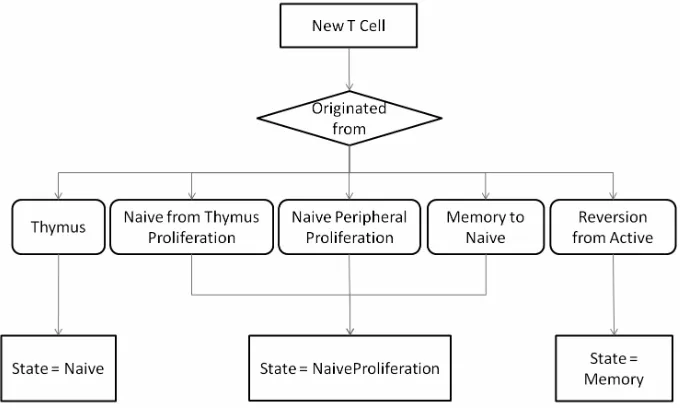 Figure 3. The naive T cell agent