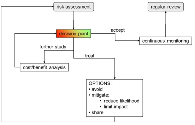 Figure 11. Risk treatment decision making 