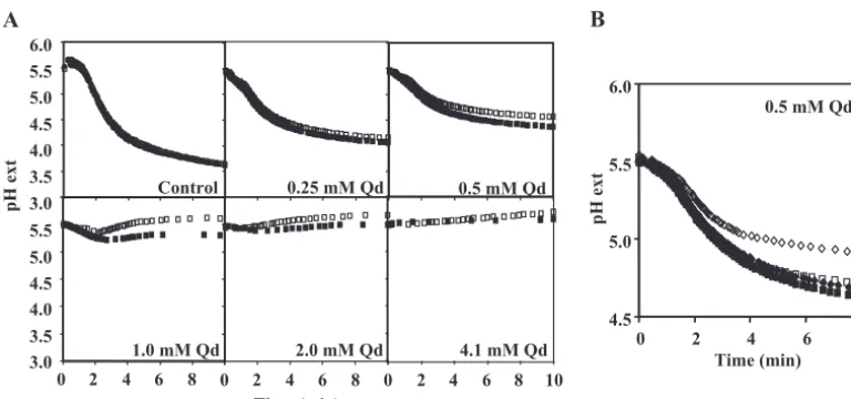 FIG. 3.. Mutant cells with(pYCG_tation of the reduced ability of energized cells of the BY4741presence of quinidine stress compared with that of the BY4741 parental strain ( �■ mutant strain ( and �QDR2) or with the cloning vector pFL38 ( expression increa