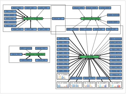 Figure 2Overview of the seed modules identified in the Spellman dataset [12]