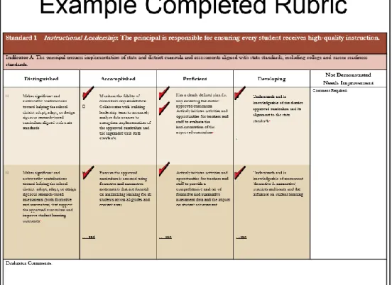 Figure 3: Example of How to Complete the Rubric 