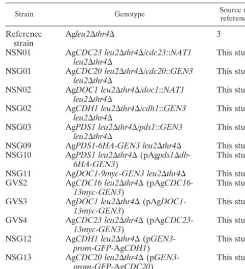 TABLE 1. Ashbya gossypii strains used in this studya