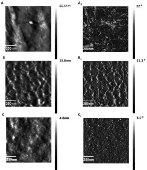 Fig. 3. Representative AFM images recorded on not-TCP substrate, showing bare substrate (A), 