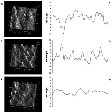 Fig. 4. AFM profile analysis before and after protein immobilization on not-TCP substrate