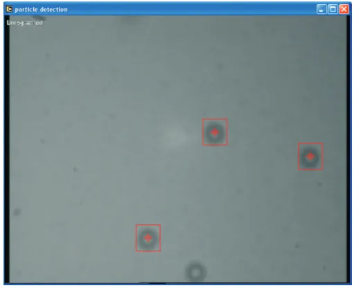 Figure 1.2: This gure shows a screen shot of StAT tracking particles. 5 µ m