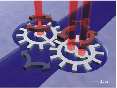 Figure 2.1: A microgear pump. Silicon microgears are optically tweezed by a