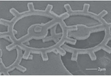 Figure 2.8:Silicon microgears. The microgear pattern was created in resist