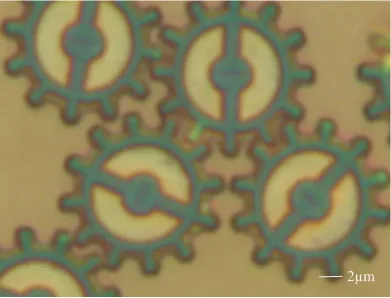 Figure 2.13: SU8 microgears. The best microgears fabricated by exposing the