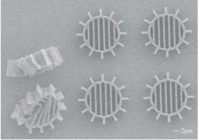 Figure 2.20: These microgears have been damaged by the stylus proler show-