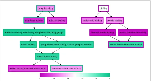 Figure 3Inconsistent predictions for the s domain of casein kinase 1